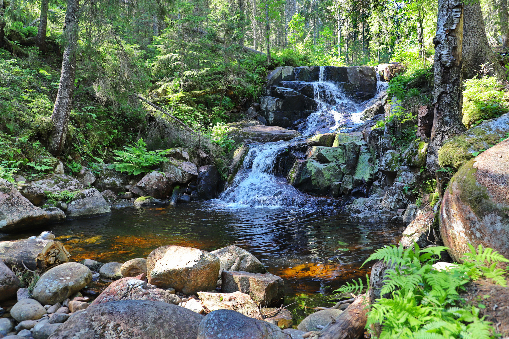 Im Skuleskogen Nationalpark...