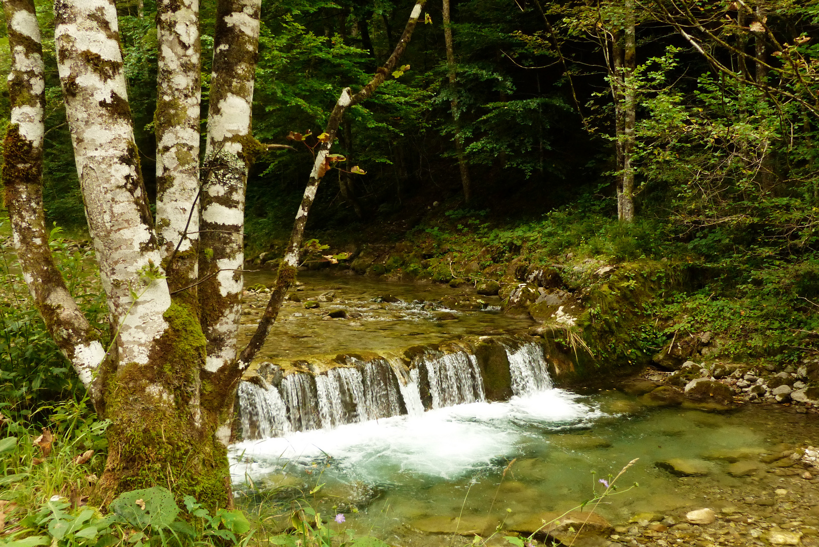 Im Söllbachtal 1