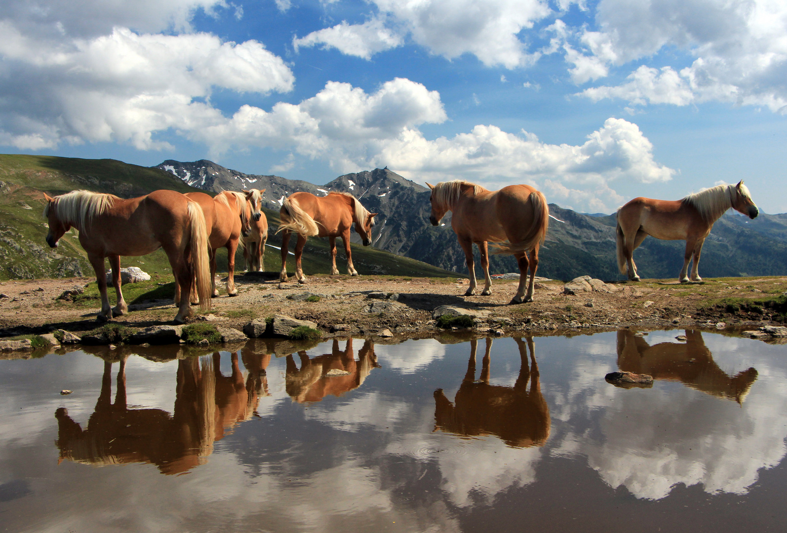 im Sommer am Penser Joch