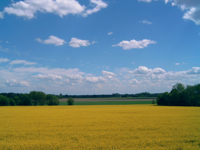 Im Sommer aus meinem Dachfenster