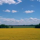 Im Sommer aus meinem Dachfenster