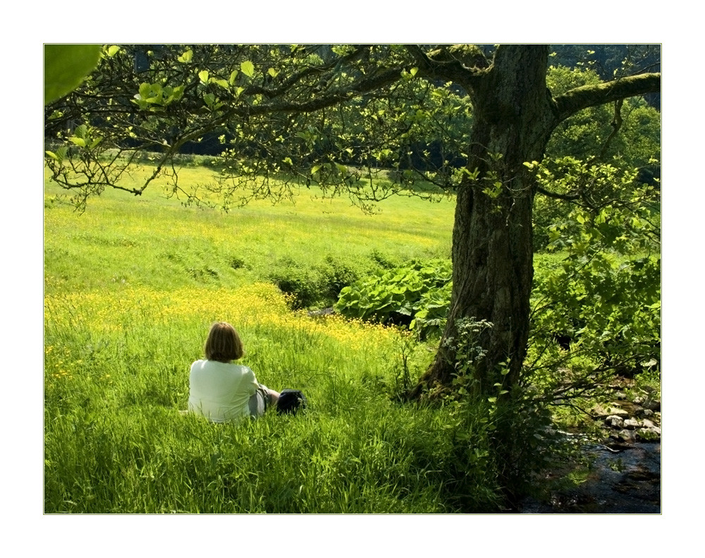 ...im Sommer- Grase sitzend... - ...mit allen Sinnen der Natur verbunden sein...