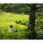 ...im Sommer- Grase sitzend... - ...mit allen Sinnen der Natur verbunden sein...