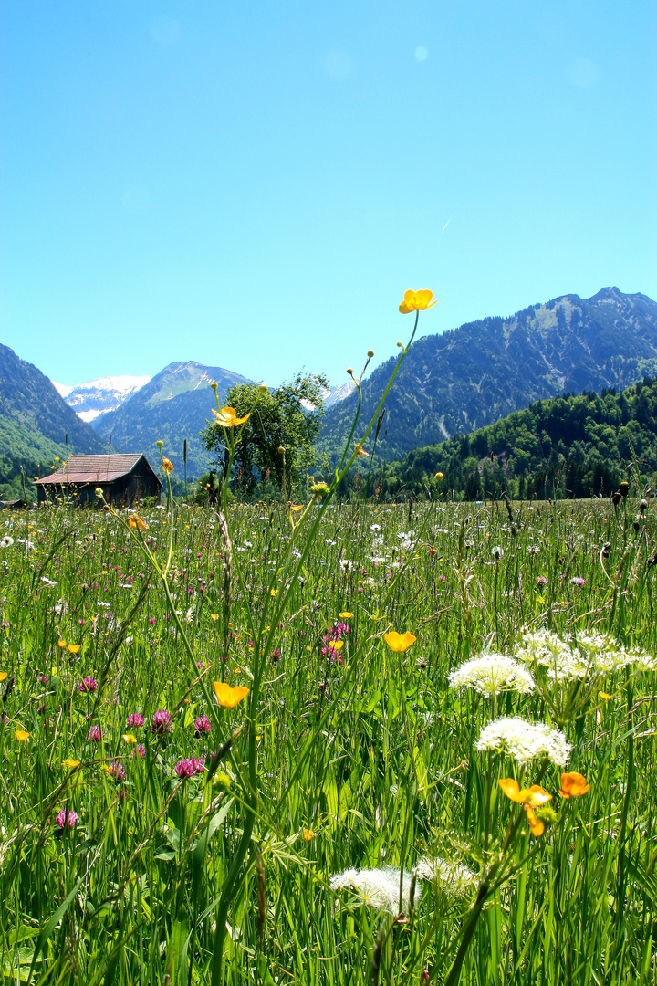 im SOmmer ist es sogar in den Bergen schöner