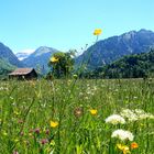 im SOmmer ist es sogar in den Bergen schöner