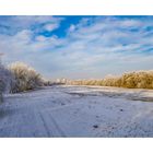 Im Sommer piekst hier manche Gelse, manche Mücke - im Winter den Himmel nur die Brücke