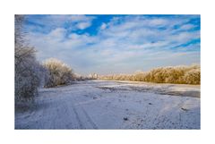 Im Sommer piekst hier manche Gelse, manche Mücke - im Winter den Himmel nur die Brücke