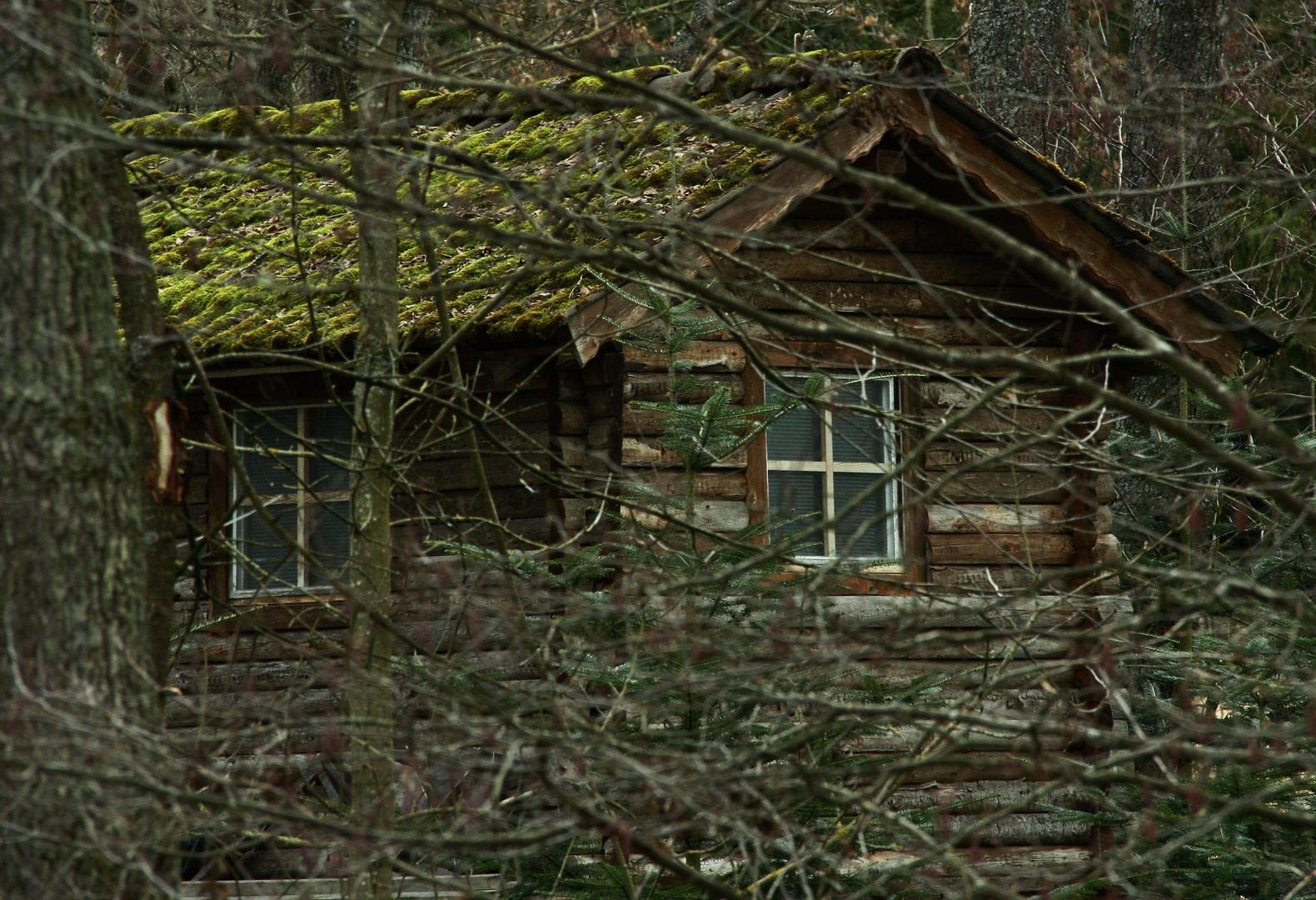 im Sommer verborgen......Hütte im Wald