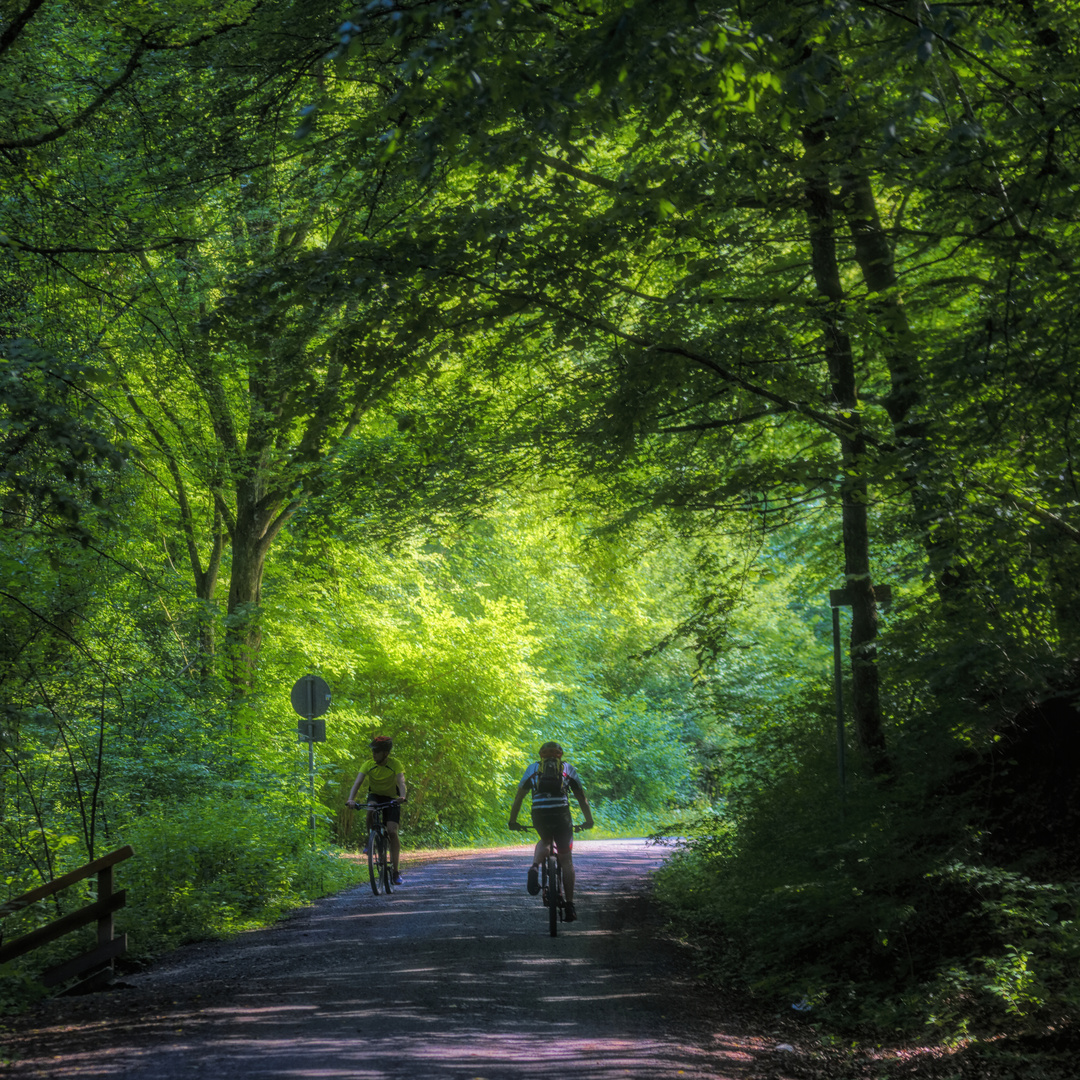 im Sommerlicht