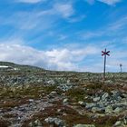 Im Sonfjällets Nationalpark