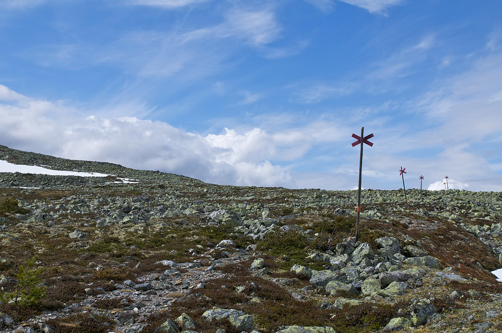 Im Sonfjällets Nationalpark