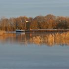 Im Sonnen- untergang... ( Schiff auf der Elbe)