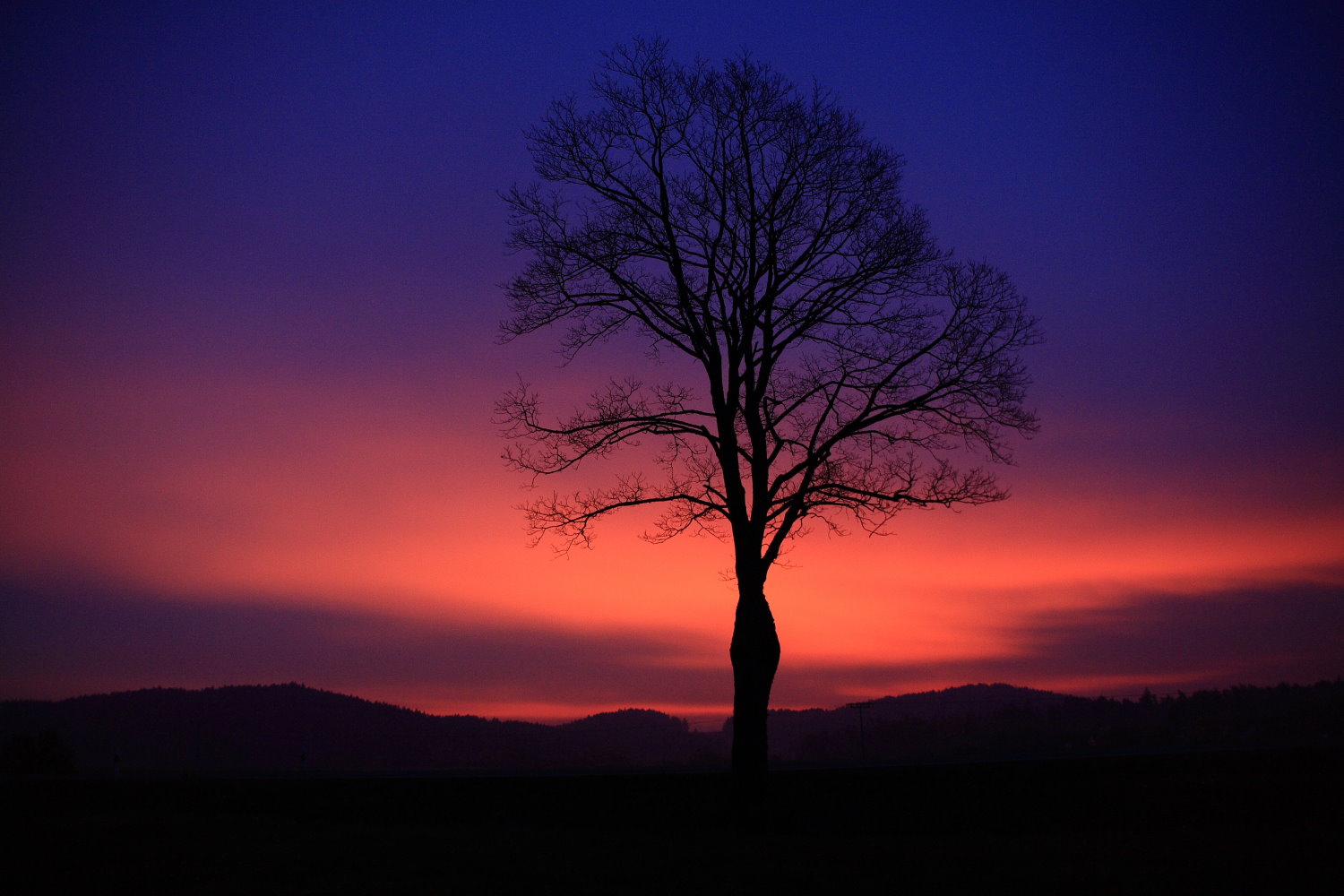 Im Sonnenaufgang