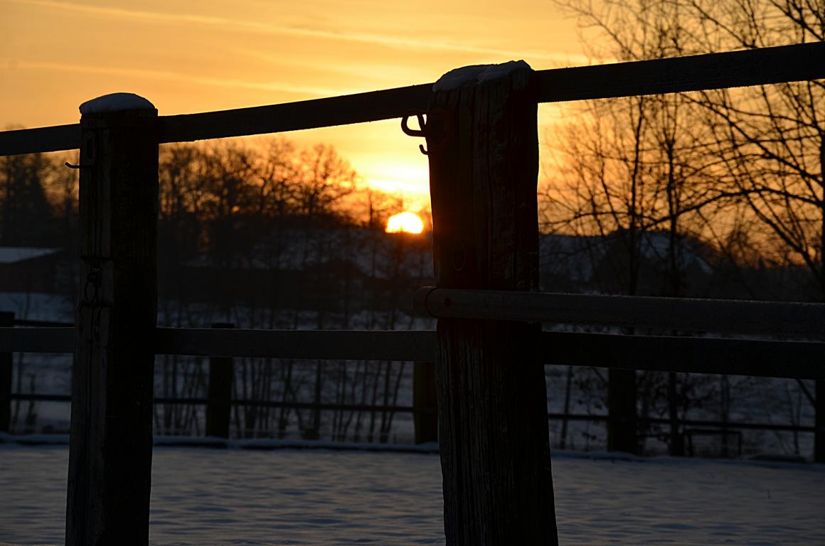 im Sonnenaufgang