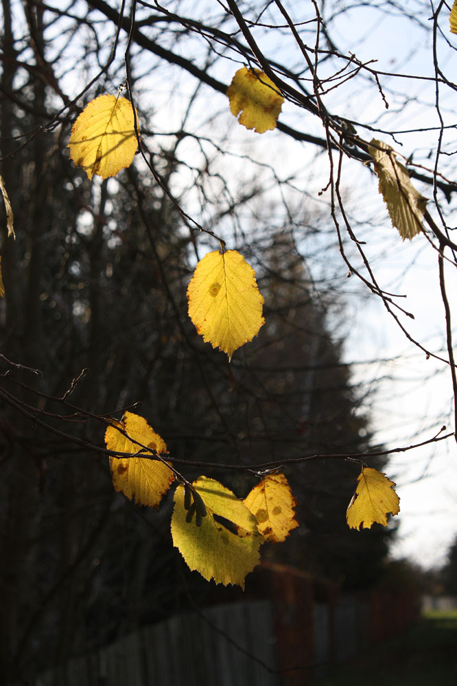 im Sonnenlicht