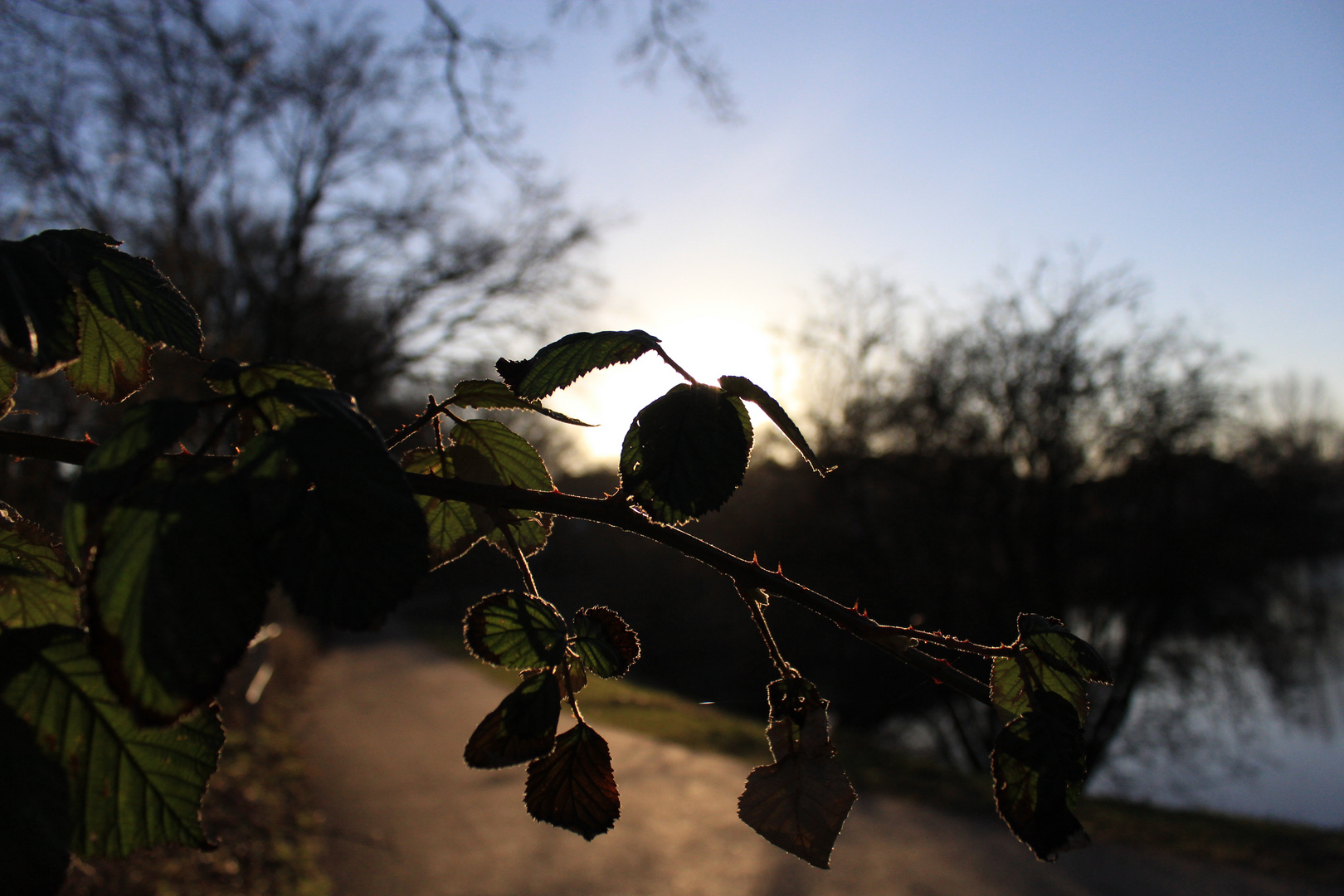 Im Sonnenlicht