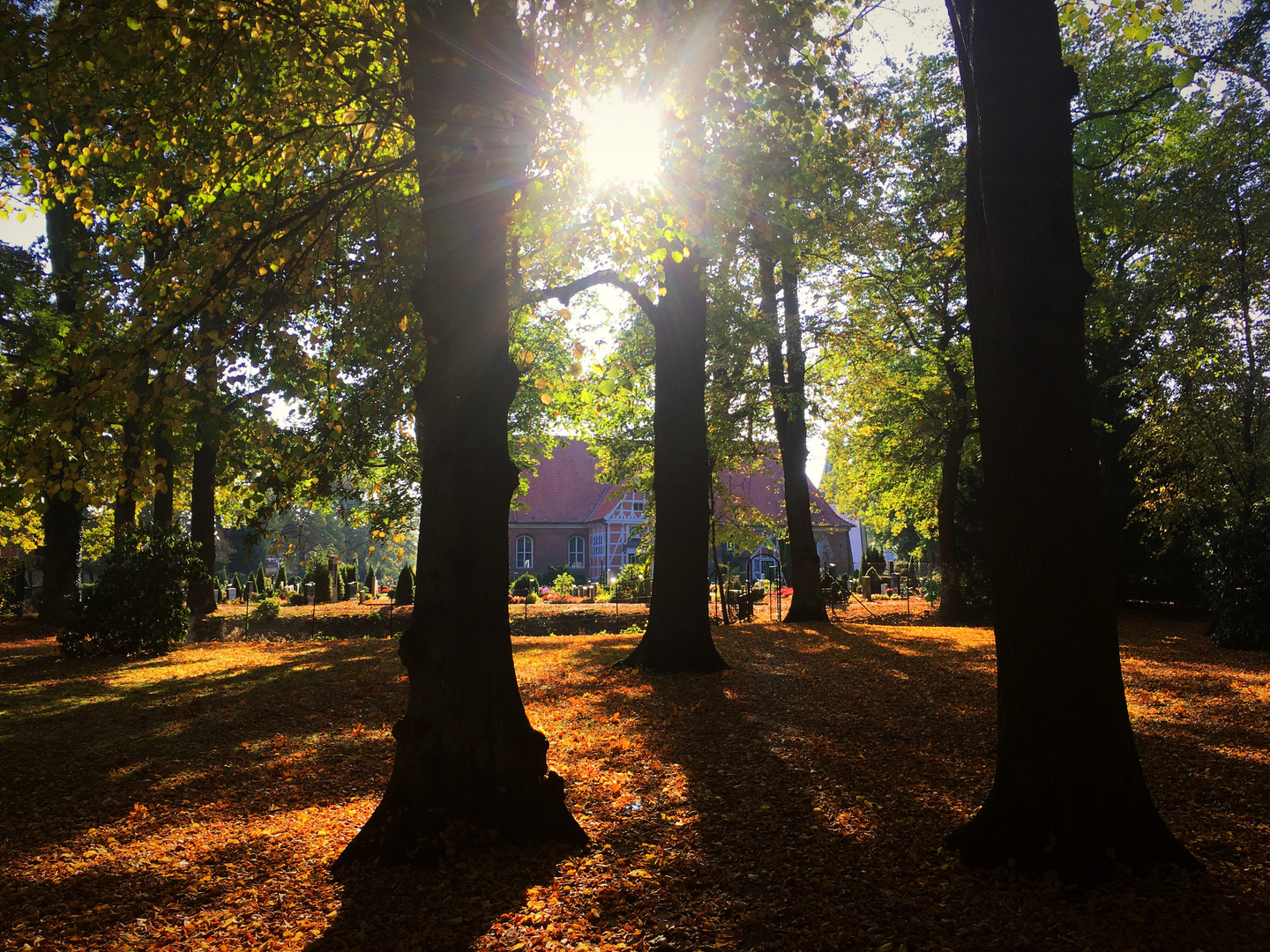 Im Sonnenschein