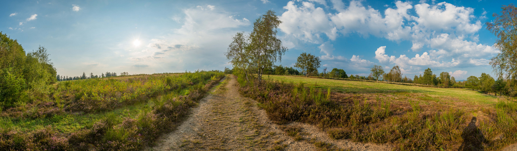 Im Sonnenschein Pano