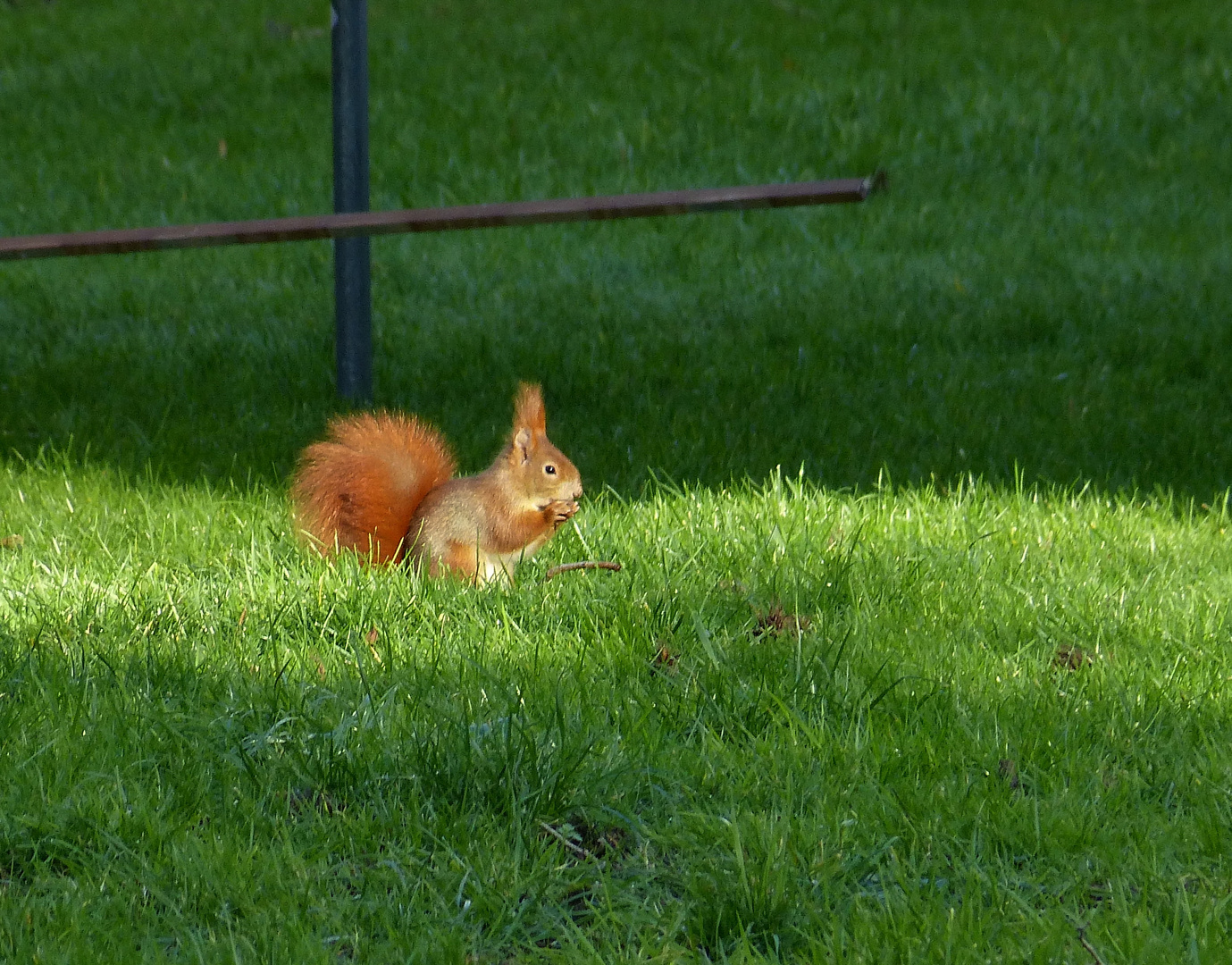 Im Sonnenschein schmeckts noch besser