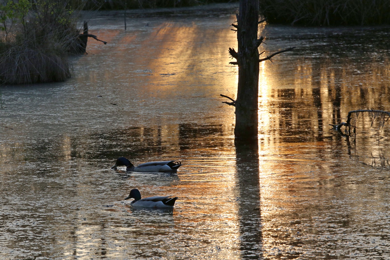 Im Sonnenuntergang