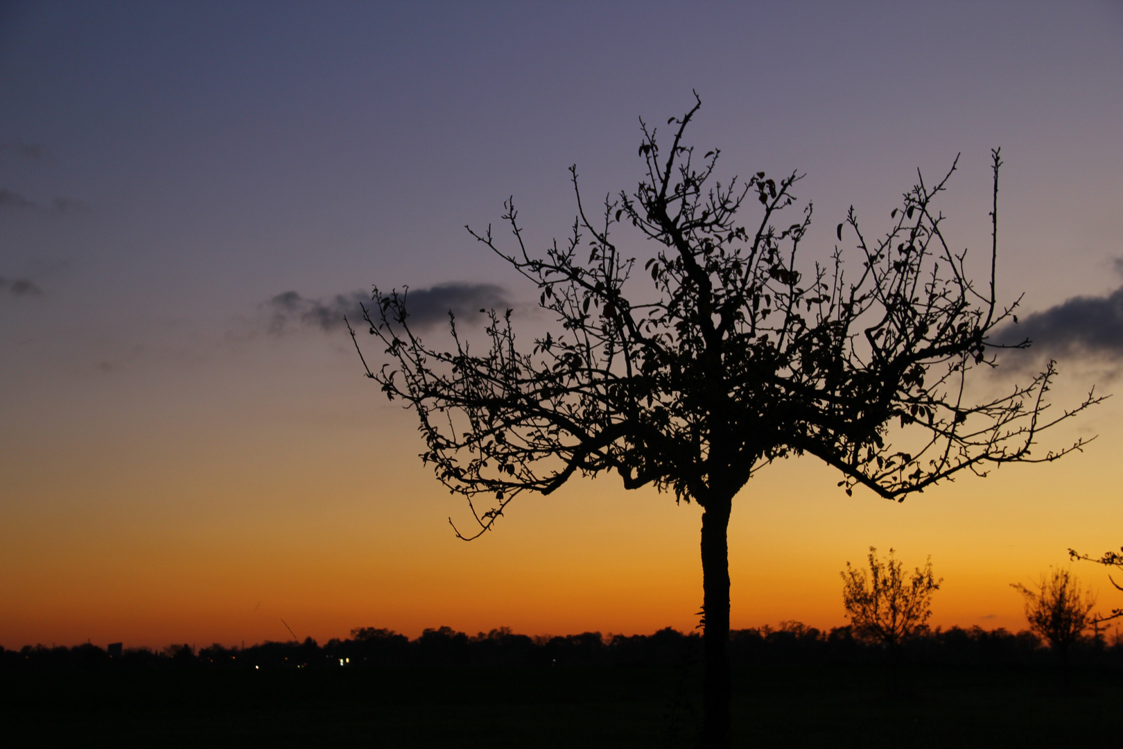 Im Sonnenuntergang