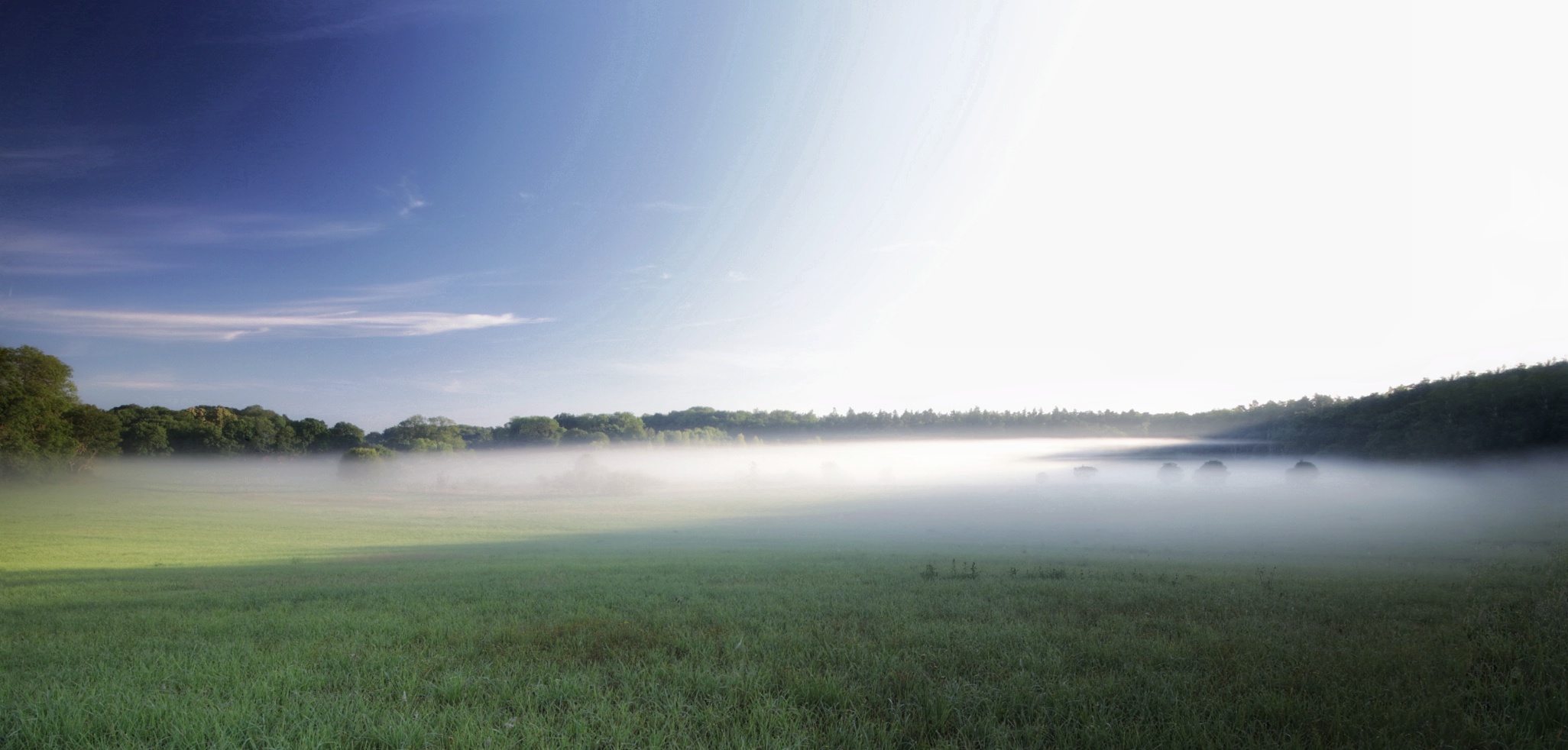 Im sonnigen Nebel