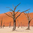 Im Sossusvlei [2]