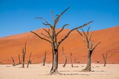 Im Sossusvlei [2]