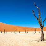 Im Sossusvlei [4]