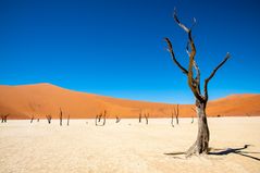 Im Sossusvlei [4]