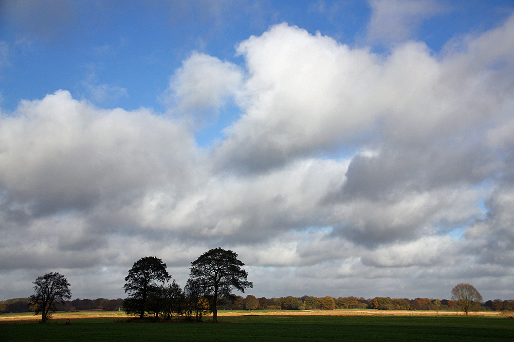 Im Spätherbst blüht der Himmel auf