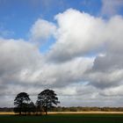 Im Spätherbst blüht der Himmel auf