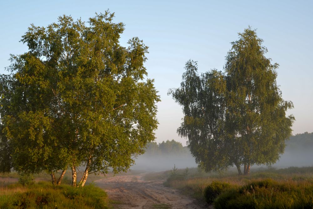 Im Spätsommer !