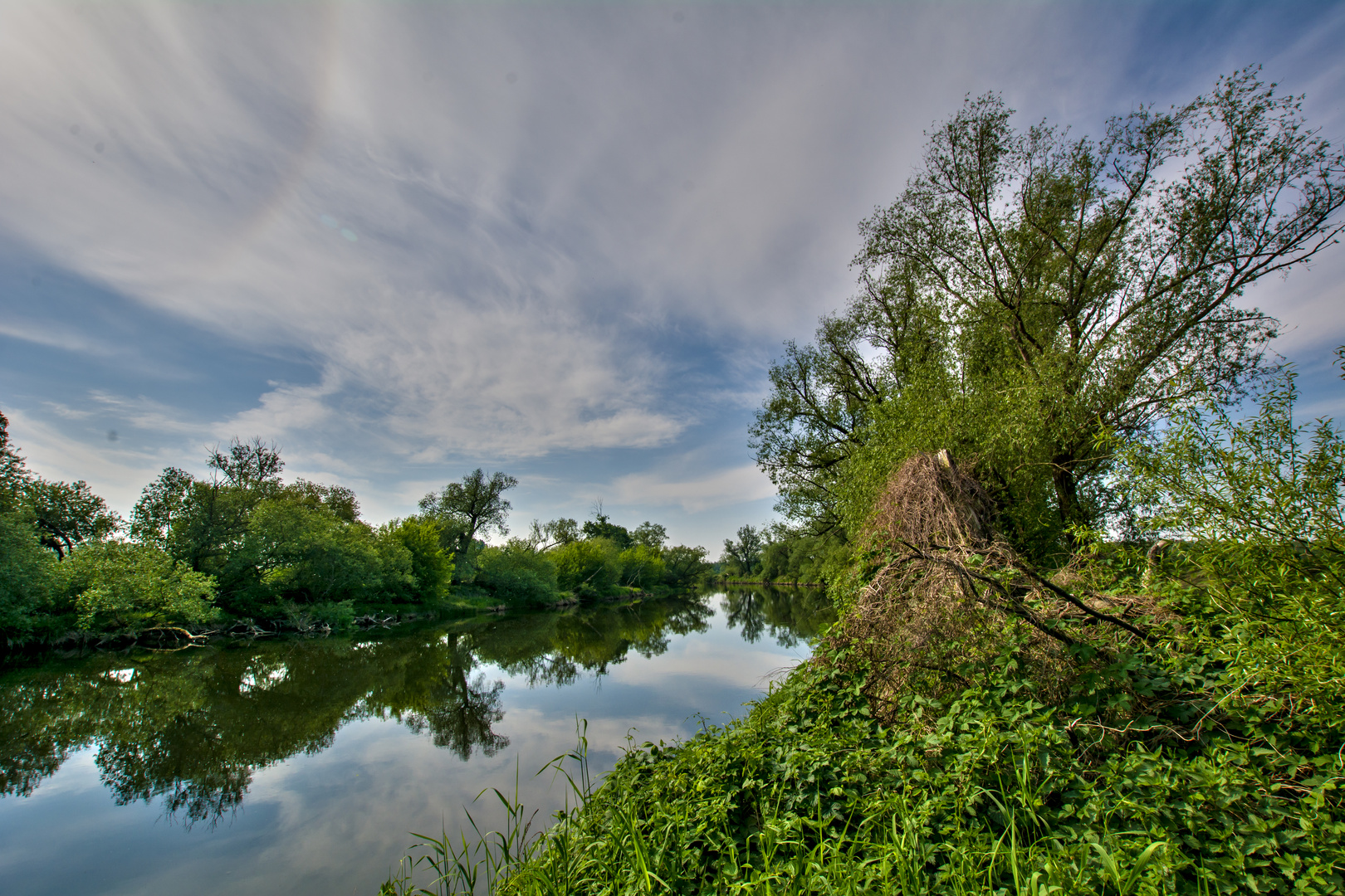 Im Spiegel der Mulde