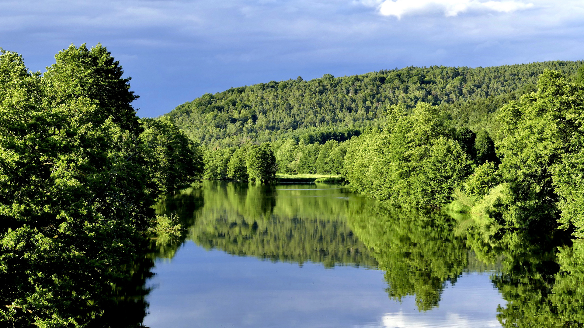 Im Spiegel der Natur 