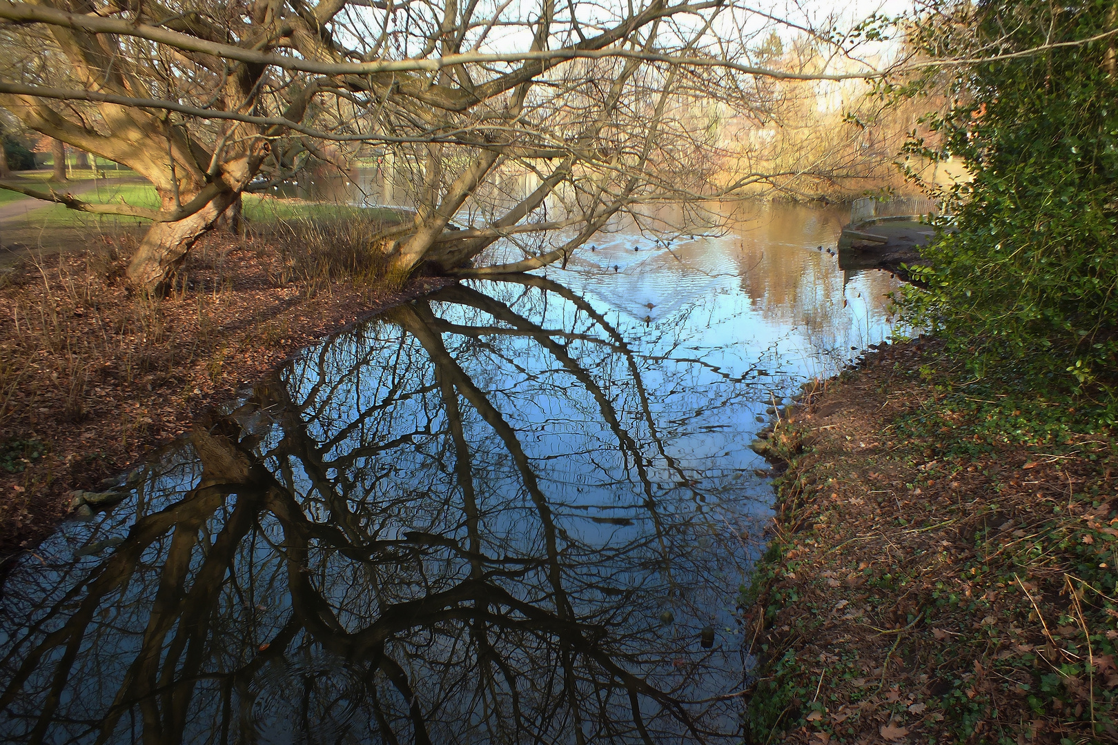 Im Spiegel der Natur