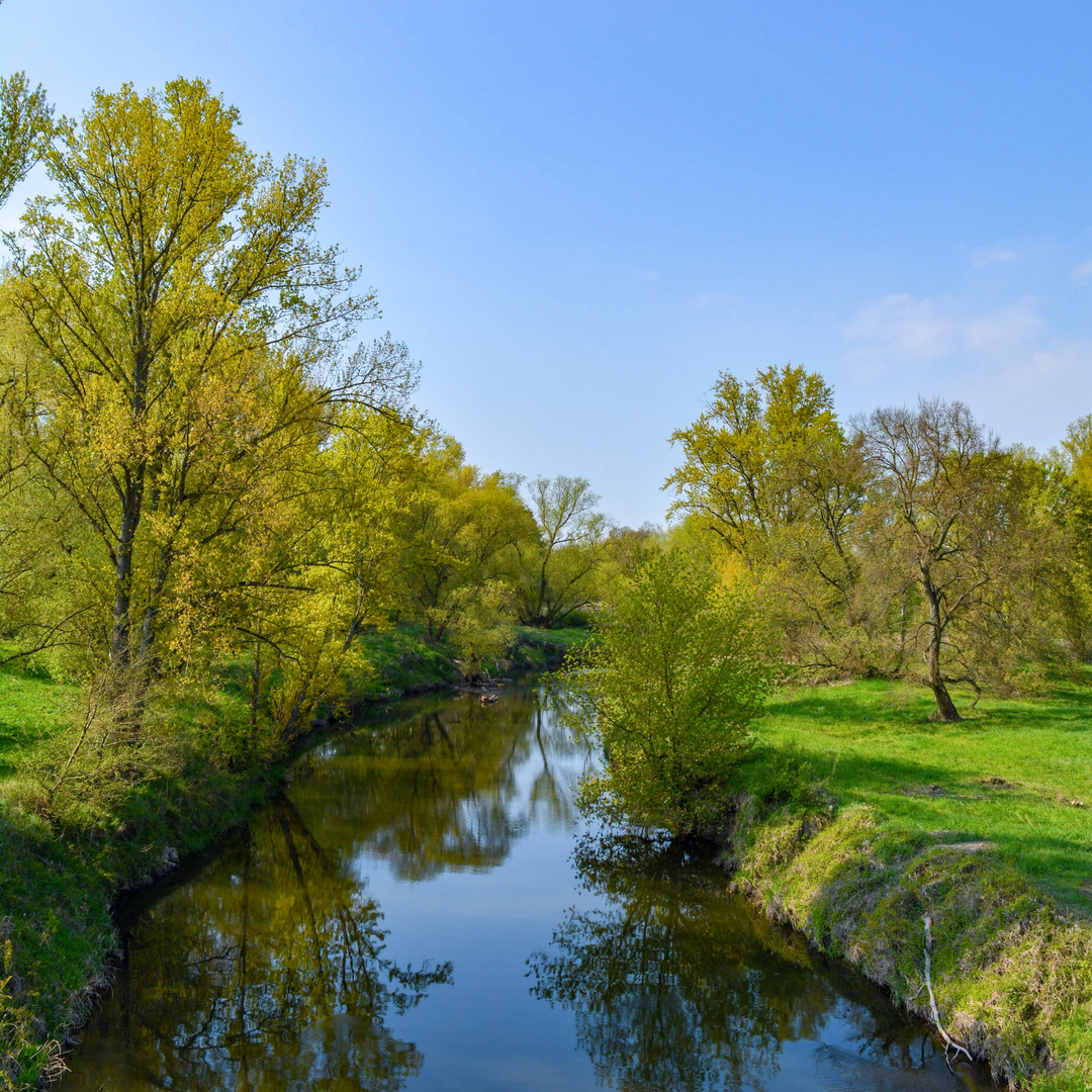 Im Spiegel der Natur