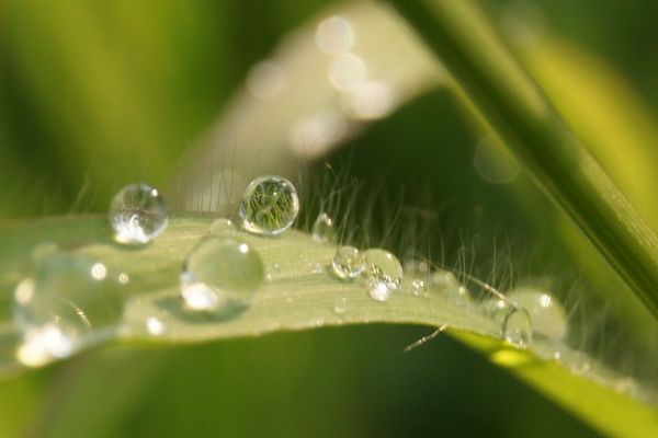 Im Spiegel der Sonne