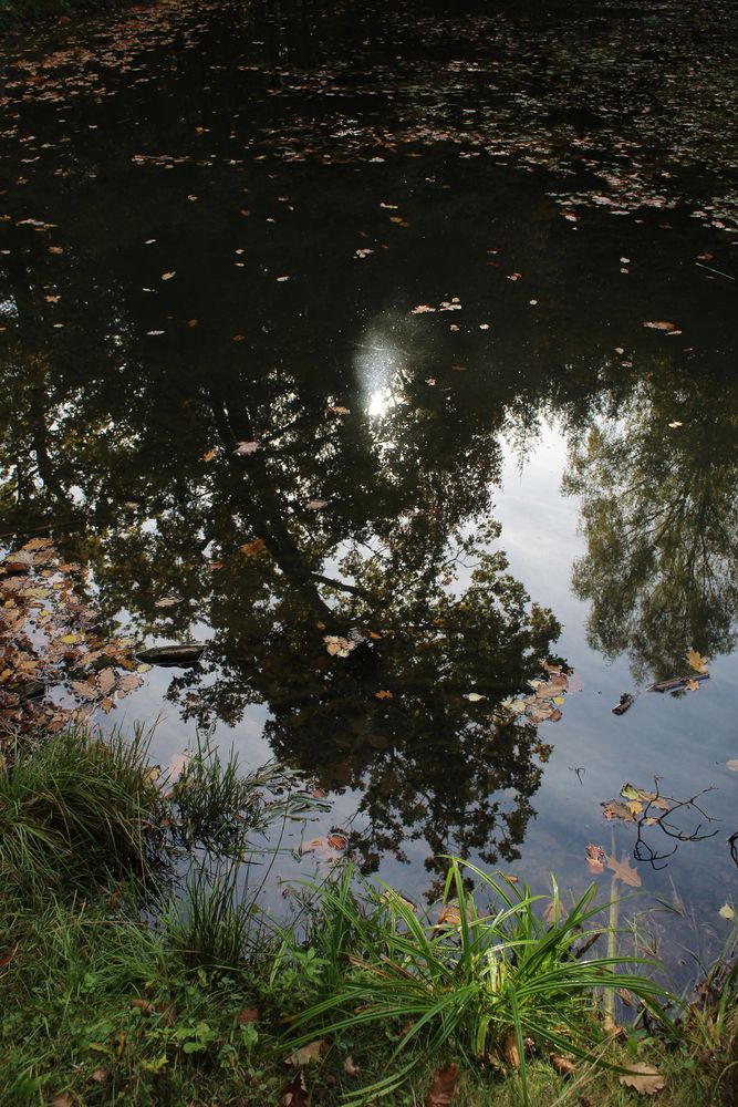 im Spiegel des glasklaren Waldsees