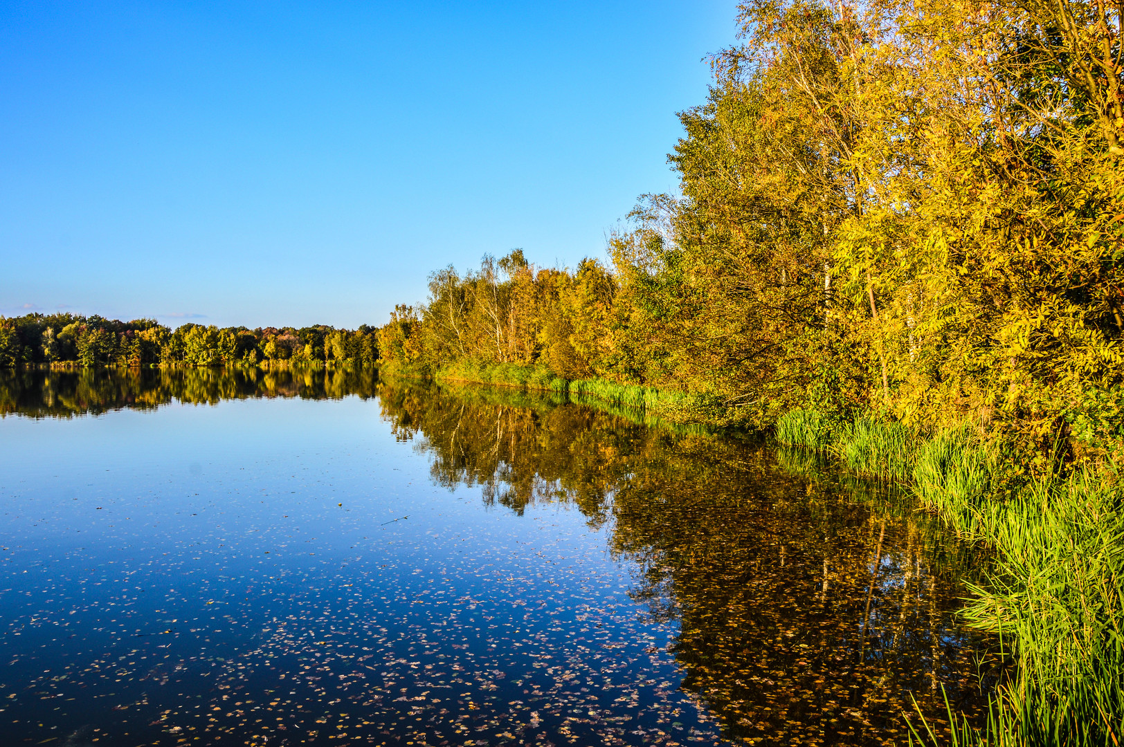 Im Spiegel des Herbstes