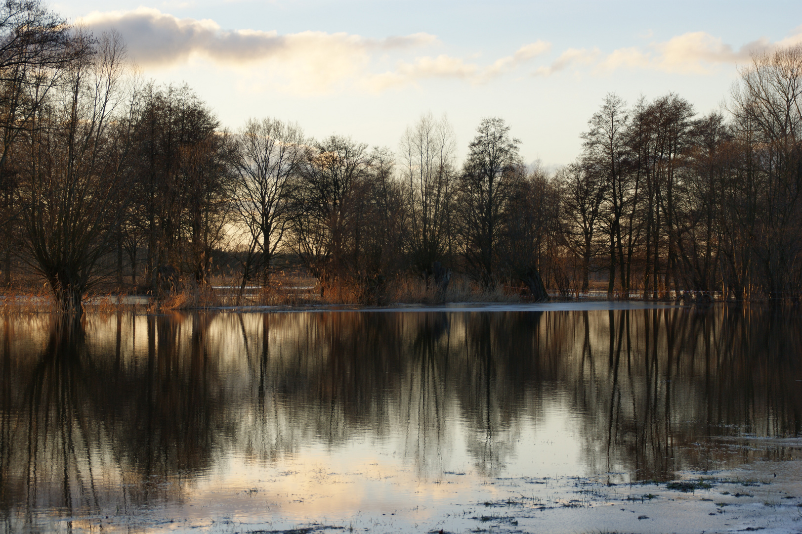 im Spiegel des Hochwassers