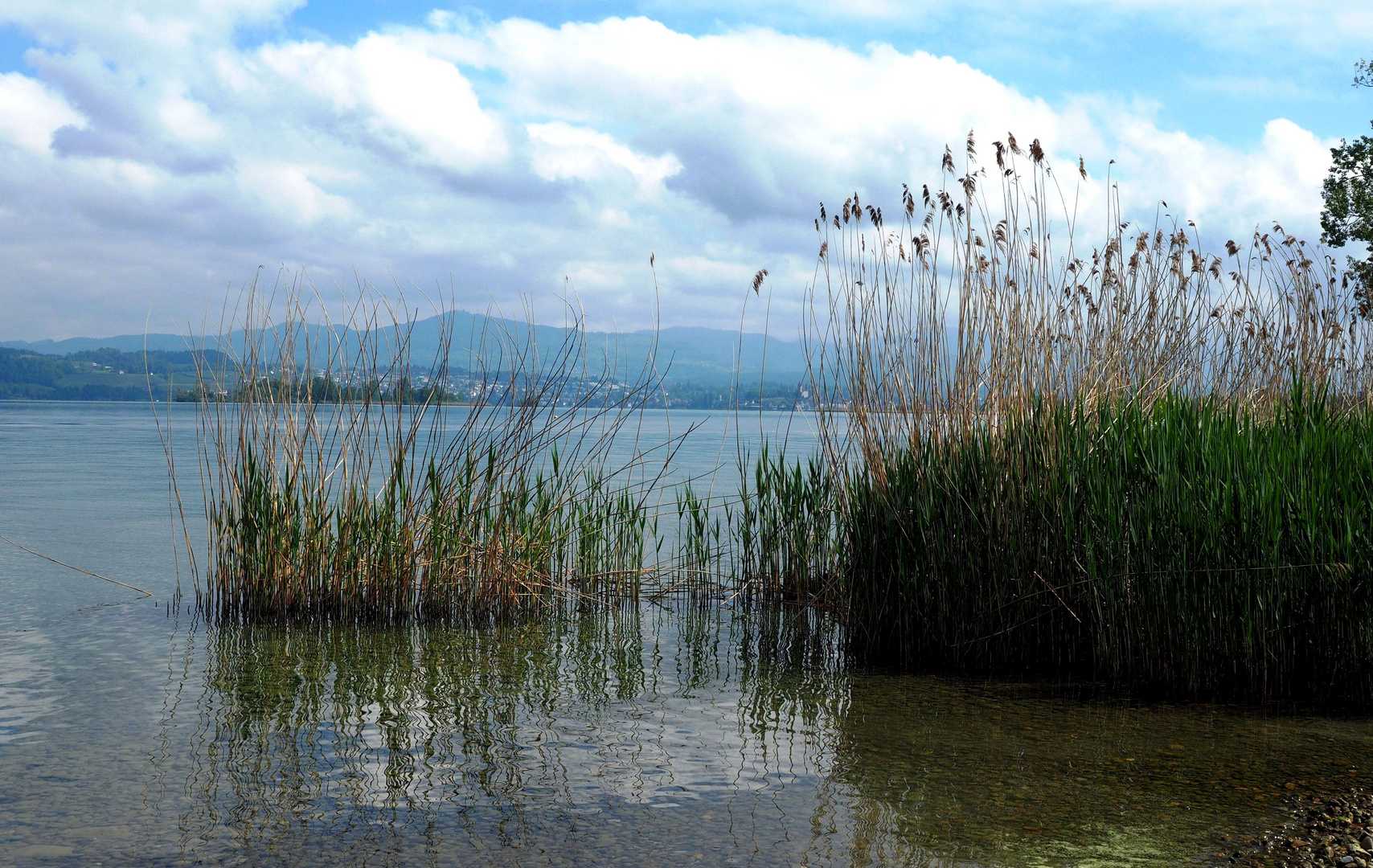 Im Spiegel des Zürichsee