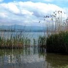 Im Spiegel des Zürichsee