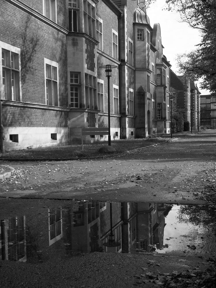 im Spiegel: Doppelleuchter Foto & Bild | natur, herbst, landschaft