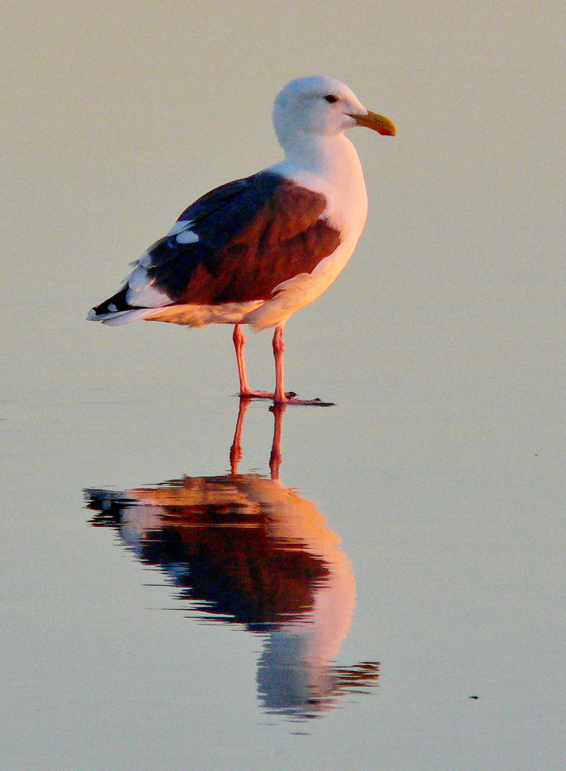 "im Spiegelbild"