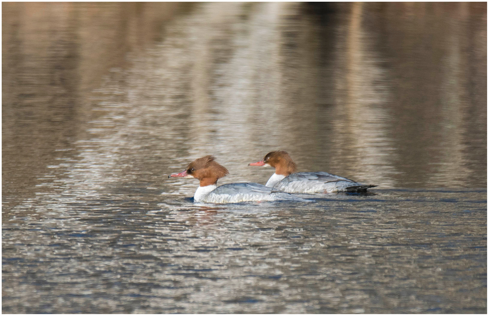 im spiegelnden Wasser