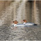 im spiegelnden Wasser