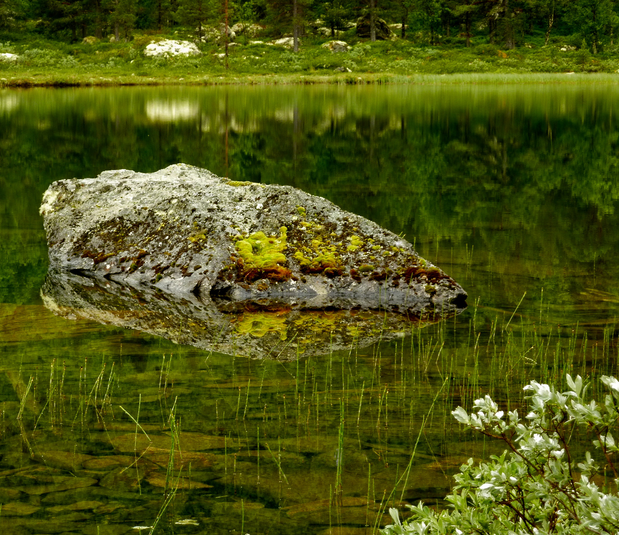 Im Spielzimmer der Natur