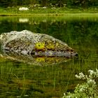 Im Spielzimmer der Natur