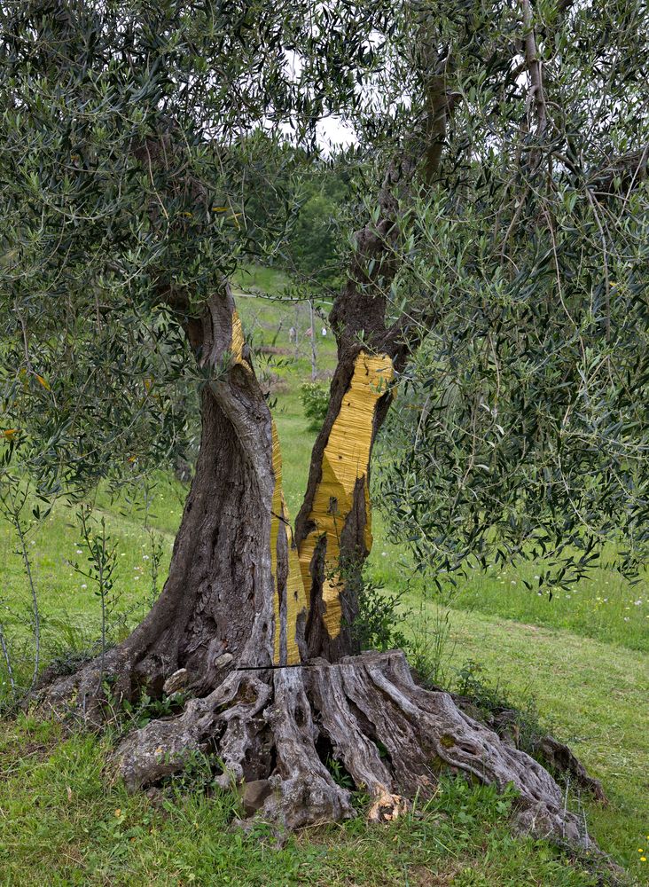 Im Spoerri-Skulpturengarten Il Giardino in Seggiano - "Adam und Eva" von Dani Karavan